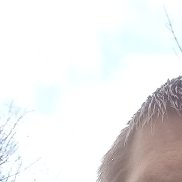 ������, 37 ���, ������