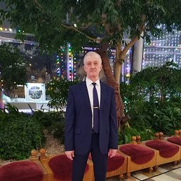 ����������, 59 ���, �����������