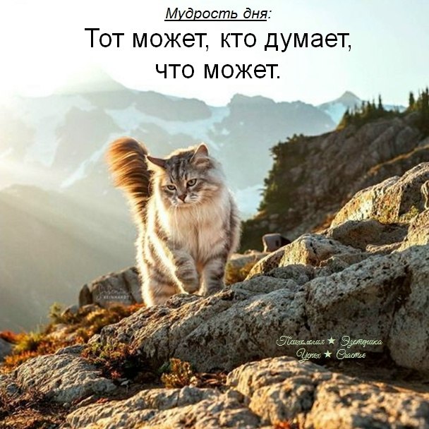 �������� ������ - 1 ������� 2026 � 15:29