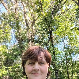 , 53, 
