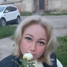 �����, 41 ���, �������