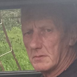 ������, ������, 49 ���