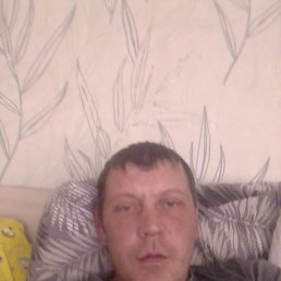 , 37, 