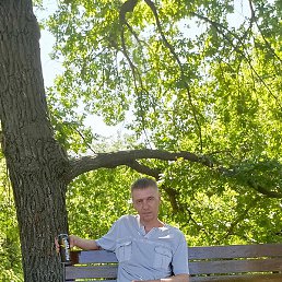 ������, ���������, 46 ���