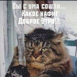 , , 55 