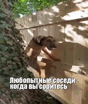 GIF Preview