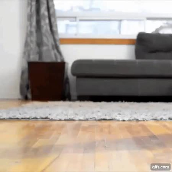 GIF Preview