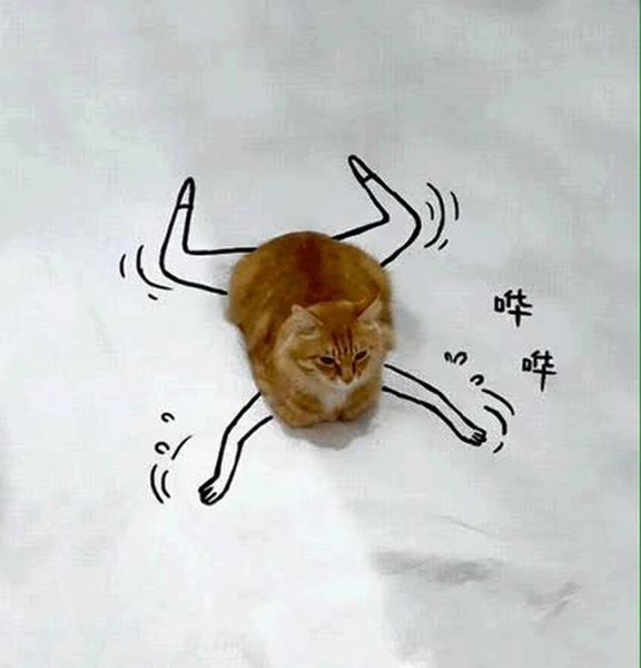 GIF Preview