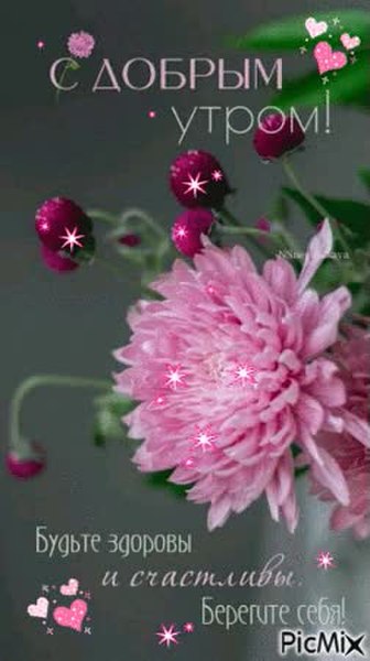 GIF Preview