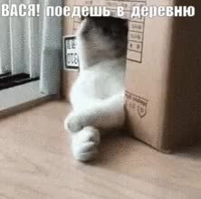 GIF Preview