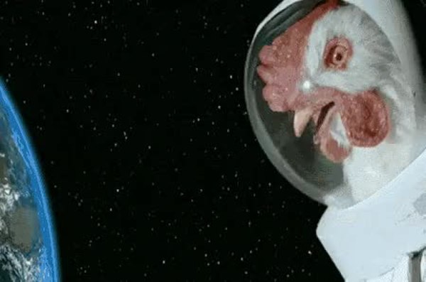 GIF Preview