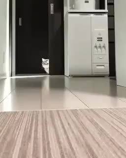 GIF Preview