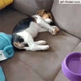GIF Preview