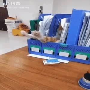 GIF Preview