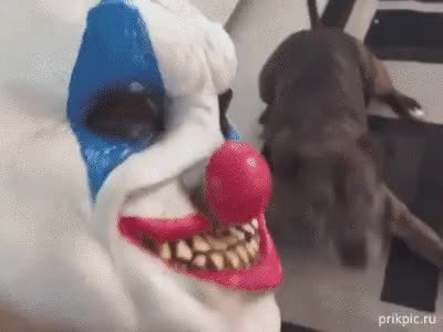 GIF Preview