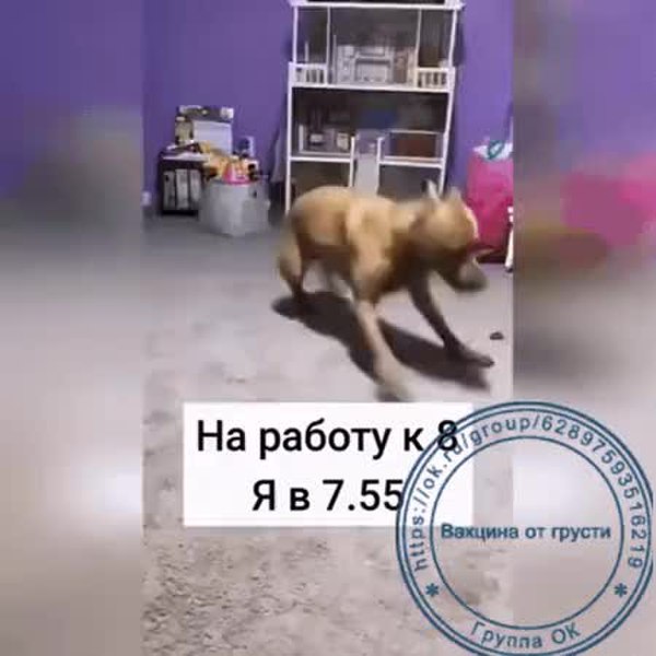 GIF Preview