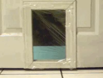 GIF Preview