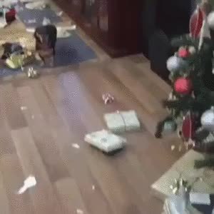 GIF Preview