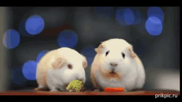 GIF Preview