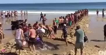 GIF Preview