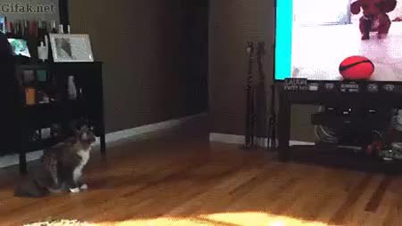 GIF Preview