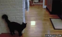 GIF Preview