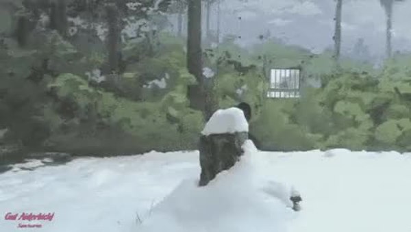 GIF Preview