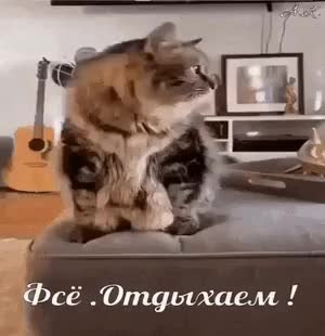 GIF Preview