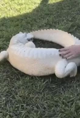 GIF Preview