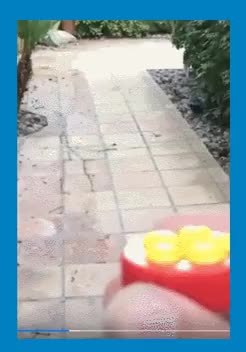 GIF Preview
