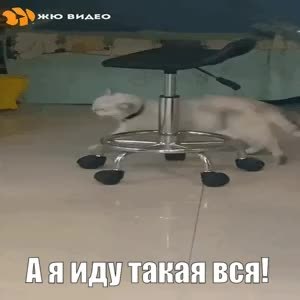 GIF Preview