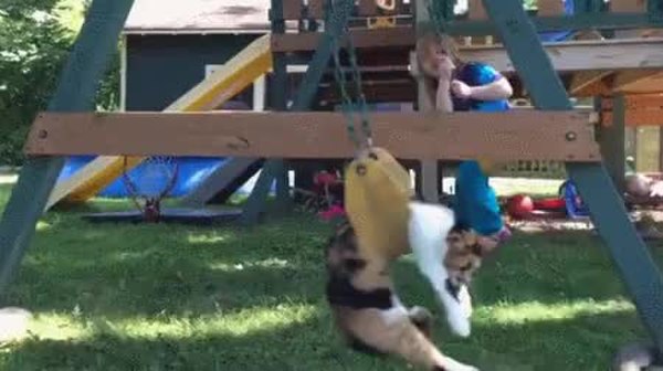 GIF Preview
