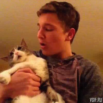 GIF Preview