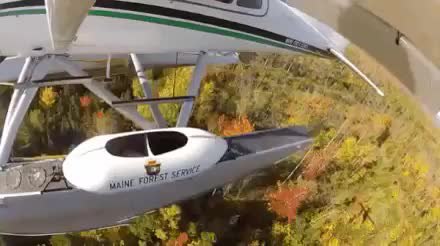 GIF Preview