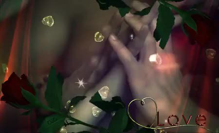 GIF Preview