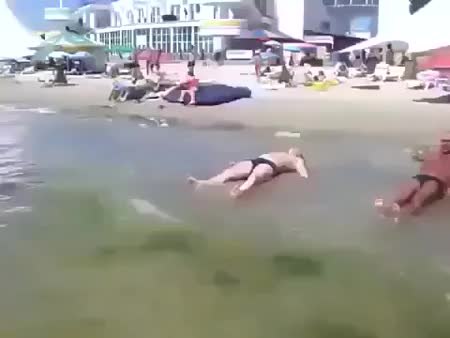 GIF Preview