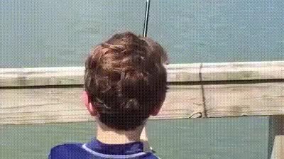 GIF Preview