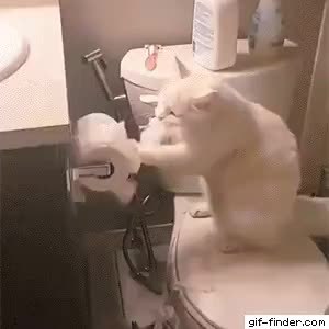 GIF Preview