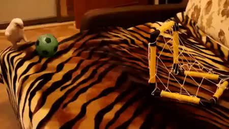 GIF Preview