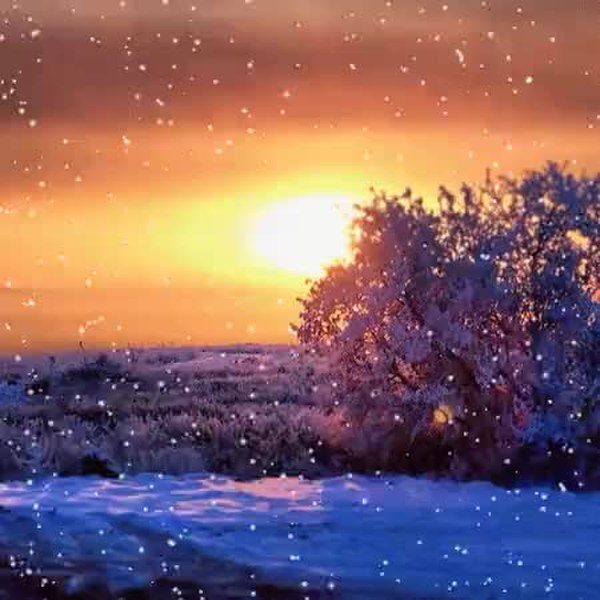 GIF Preview