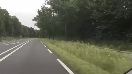 GIF Preview