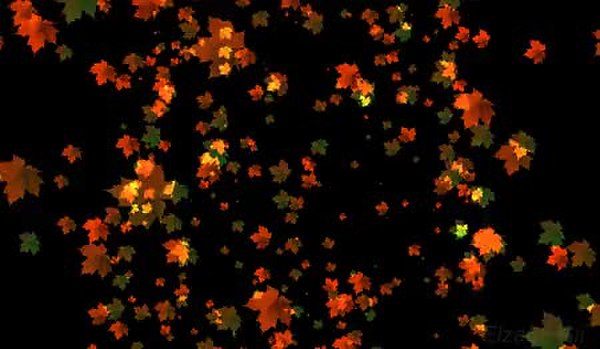 GIF Preview