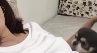 GIF Preview