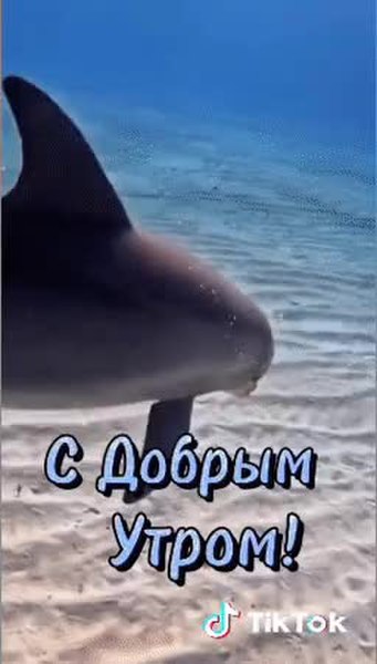 GIF Preview