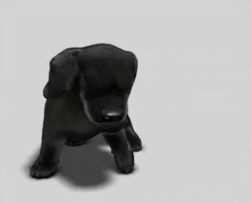 GIF Preview