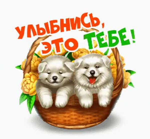 Подарки в одноклассниках картинки