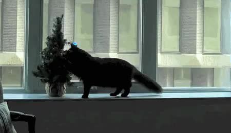 GIF Preview