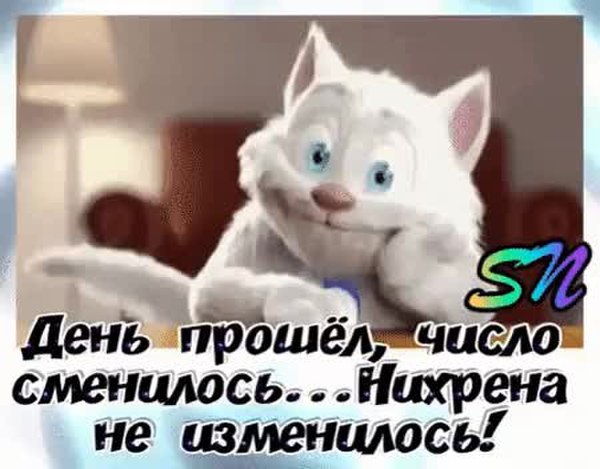 День прошел число сменилось ничего не изменилось. День прошёл число сменилось нихрена. День прошел число сменилось ни хрена не изменилось. Картинка день прошел число сменилось. День прошёл число сменилось нихрена не изменилось гифки.