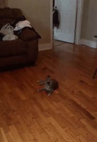 GIF Preview