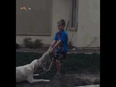 GIF Preview